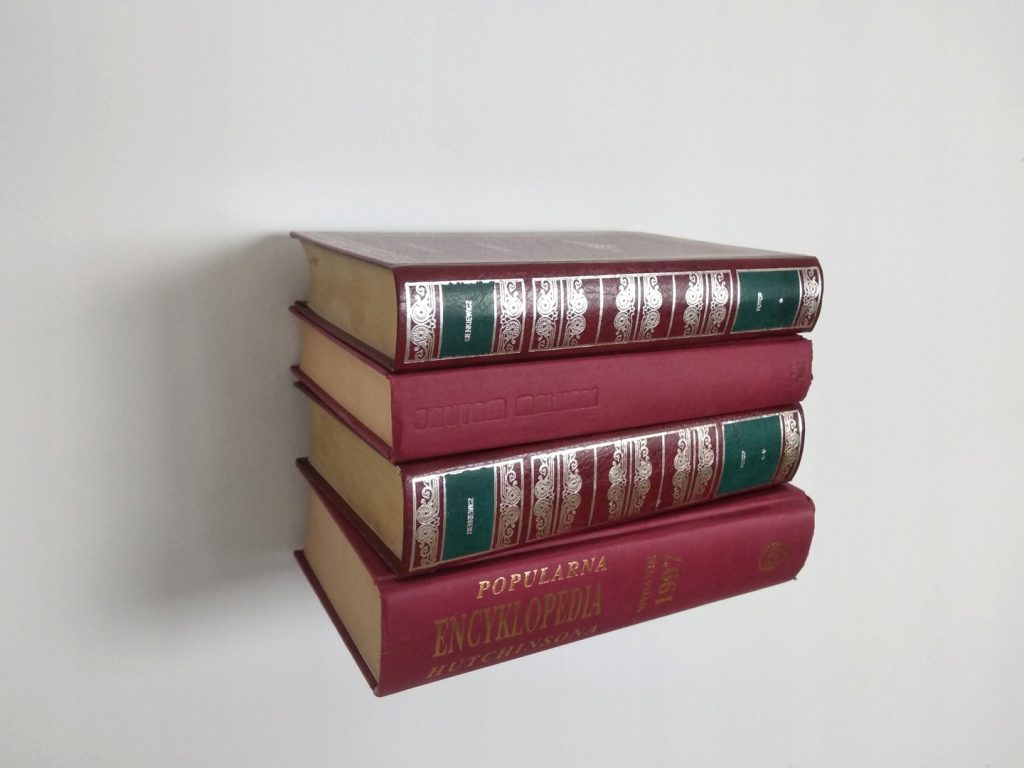 unsichtbares Bücherregal Wohnzimmer - Image 5