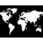 Metall Bild Weltkarte DES81 100 cm