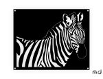 Metall Bild Zebra DES083 45 cm