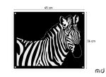 Metall Bild Zebra DES083 45 cm - Image 2