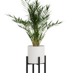 Blumensäule Loft X S