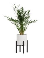 Blumensäule Loft X S