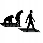 Buchstützen t27 Evolution 2 Stück