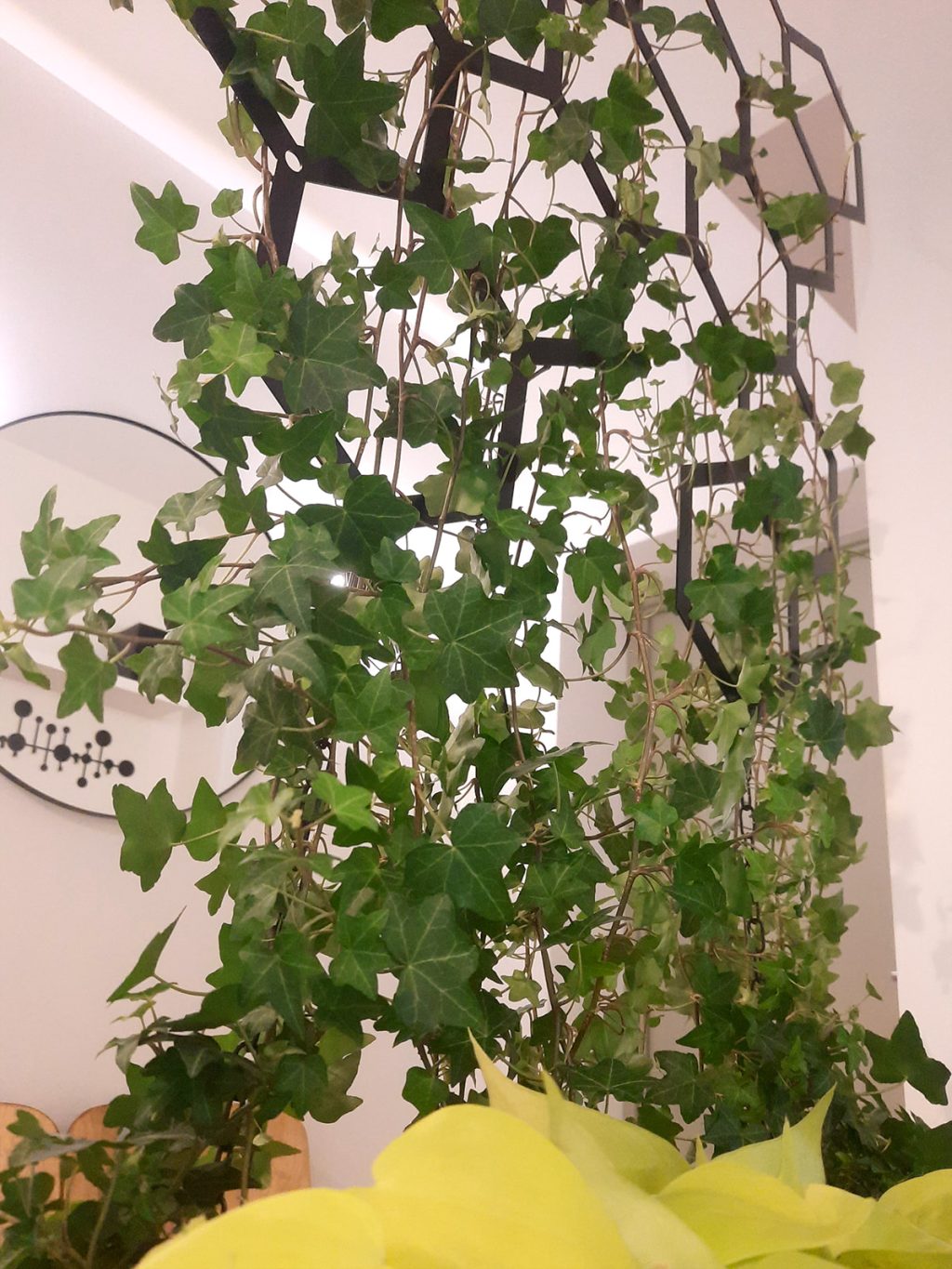 Wanddekoration aus Metall Hexagon Kletterpflanze 73x104 cm - Image 4