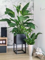 Blumenständer mit Tiefem Blumentopf 30x30x60 - Image 2