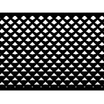 Zaunfeld  Dina 200×135 cm