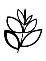 Rankhilfe Floral M 55x67 cm